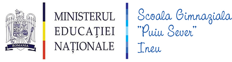Scoala Gimnaziala "Puiu Sever" Ineu