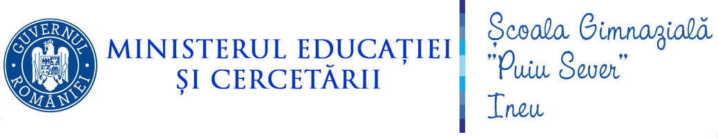Scoala Gimnaziala "Puiu Sever" Ineu